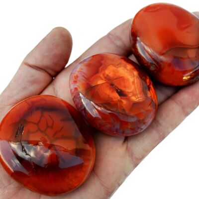 1 Kg Lot of Carnelian Palm Stone (7-8 Pcs) - (40mm - 70mm)