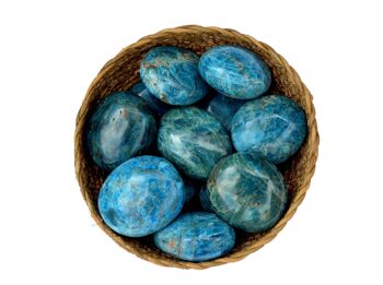 1 Kg Lot de pierre de palme apatite bleue (8 -10 pièces) - (40mm - 70mm) 2