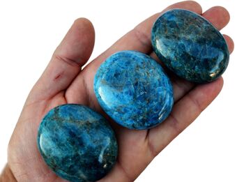 1 Kg Lot de pierre de palme apatite bleue (8 -10 pièces) - (40mm - 70mm) 3