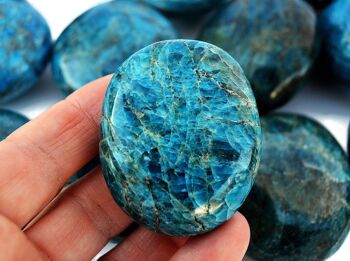 1 Kg Lot de pierre de palme apatite bleue (8 -10 pièces) - (40mm - 70mm) 4