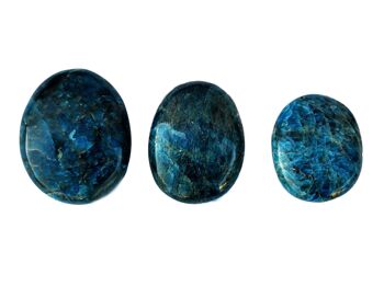 1 Kg Lot de pierre de palme apatite bleue (8 -10 pièces) - (40mm - 70mm) 5