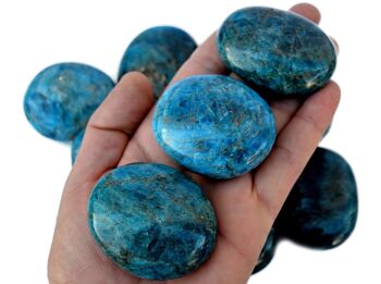 1 Kg Lot de pierre de palme apatite bleue (8 -10 pièces) - (40mm - 70mm) 6