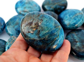 1 Kg Lot de pierre de palme apatite bleue (8 -10 pièces) - (40mm - 70mm) 7