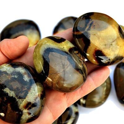 1 Kg Lot of Septarian Palm Stone (8-10 Pcs) - (40mm-70mm)