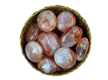 Pierre de palmier en cristal de quartz de feu (40 mm - 70 mm) 2