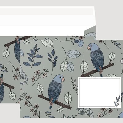 Envelope, pattern parrot