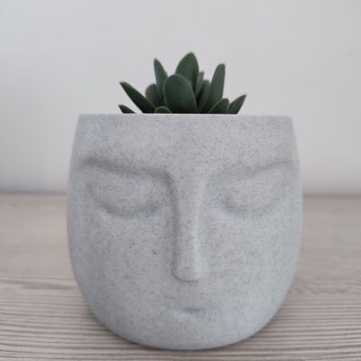 Zen Totem Shaped Flower Pot - Home and Garden Decoration