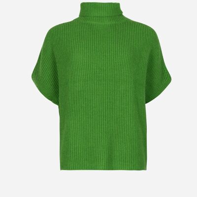 Maglione LEPONY a collo alto color avocado