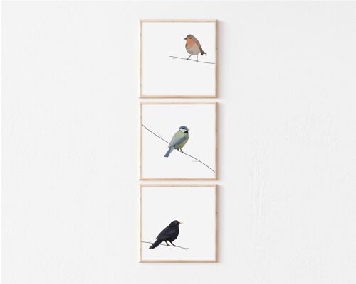 3 Birds Geometric design, Wall Art Prints, Set of 3 Prints