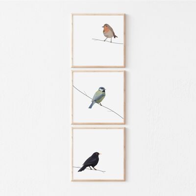 3 Birds Geometric design, Wall Art Prints, Set of 3 Prints