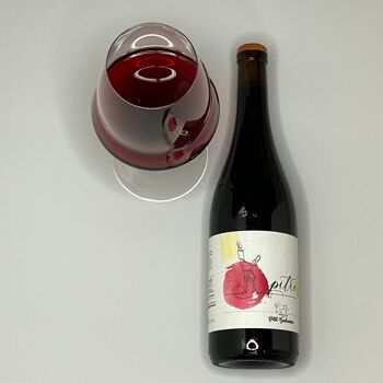 DOMAINE DU PETIT BONHOMME - Le Pitre - Vin naturel - Vin rouge - France - Provence 1