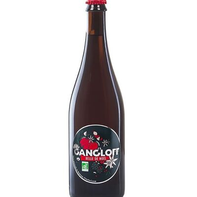 Birra di Natale biologica 75 cl - 5,5%