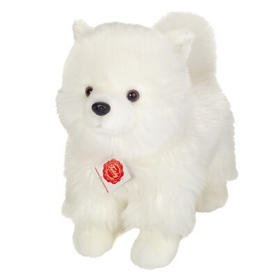 Pomeranian white standing 35 cm - plush toy - stuffed animal