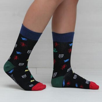 CHAUSSETTES HARRY POTTER - 2200006567 2