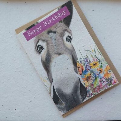 Donkey happy birthday - eco and vegan friendly plantable flower seed cards- bee cards - wildflower cards - grow me, don't throw me! plantable seed paper