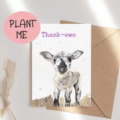 Thank-ewe - eco and vegan friendly plantable thankyou seed cards -bee cards - wildflower cards - seed paper cards -save the bees - plantable cards- lamb