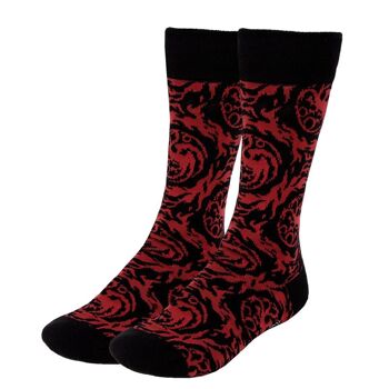 LOT DE 3 CHAUSSETTES MAISON DU DRAGON - 2900001892 2