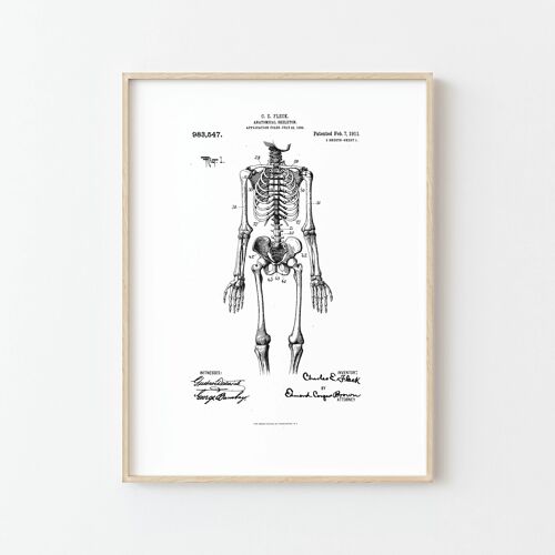 Affiche Squelette Anatomique Nostalgique