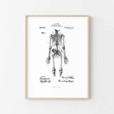 Esqueleto anatómico nostálgico Póster