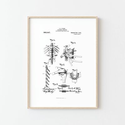 Anatomical Skeleton III Poster - Ideal Decor for Science Enthusiasts