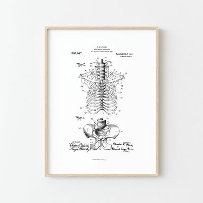 Anatomisches Skelett II-Poster – Vintage-Touch für Ihre Innendekoration