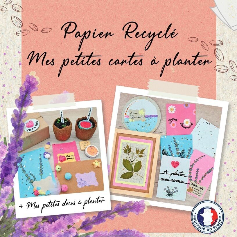 Kit fai da te | Realizzare piccoli biglietti da piantare con carta riciclata