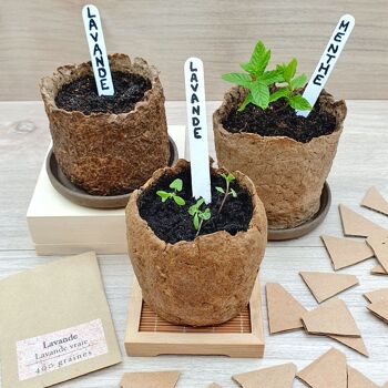 Kit DIY | Fabrication de petites cartes à planter en papier recyclé 8