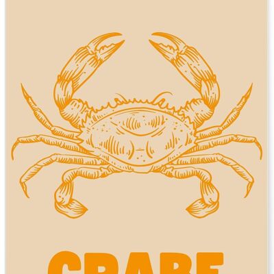 Affiche Crabe
