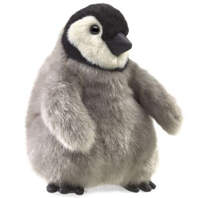 Baby Kaiserpinguin / Baby Emperor Penguin 3126