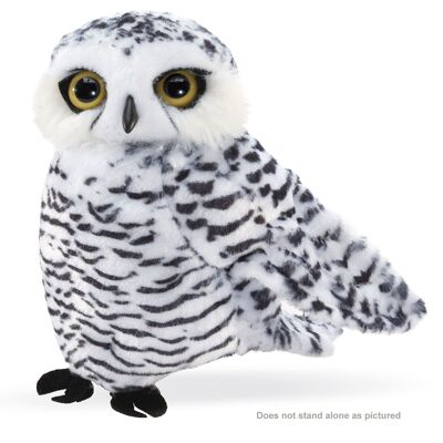 Small Snowy Owl 3197