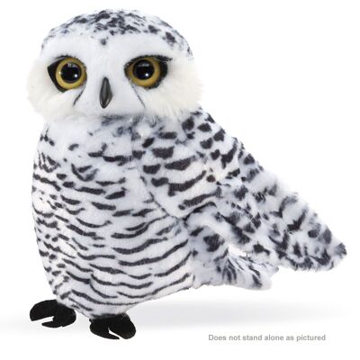 Small Snowy Owl / Kleine Schnee-Eule 3197