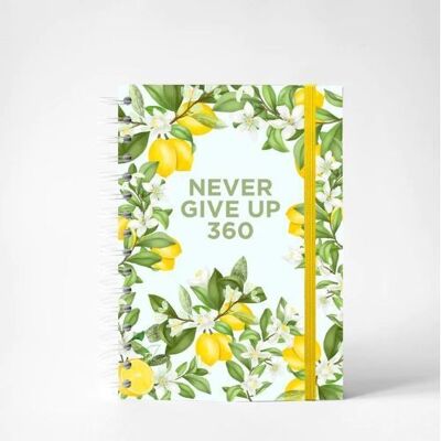 Gib niemals auf – Zitronenbaum
