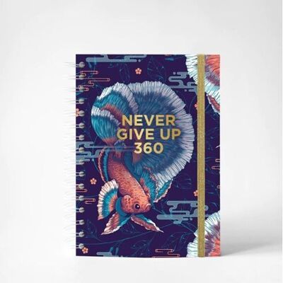 Never Give Up - Blue Fish