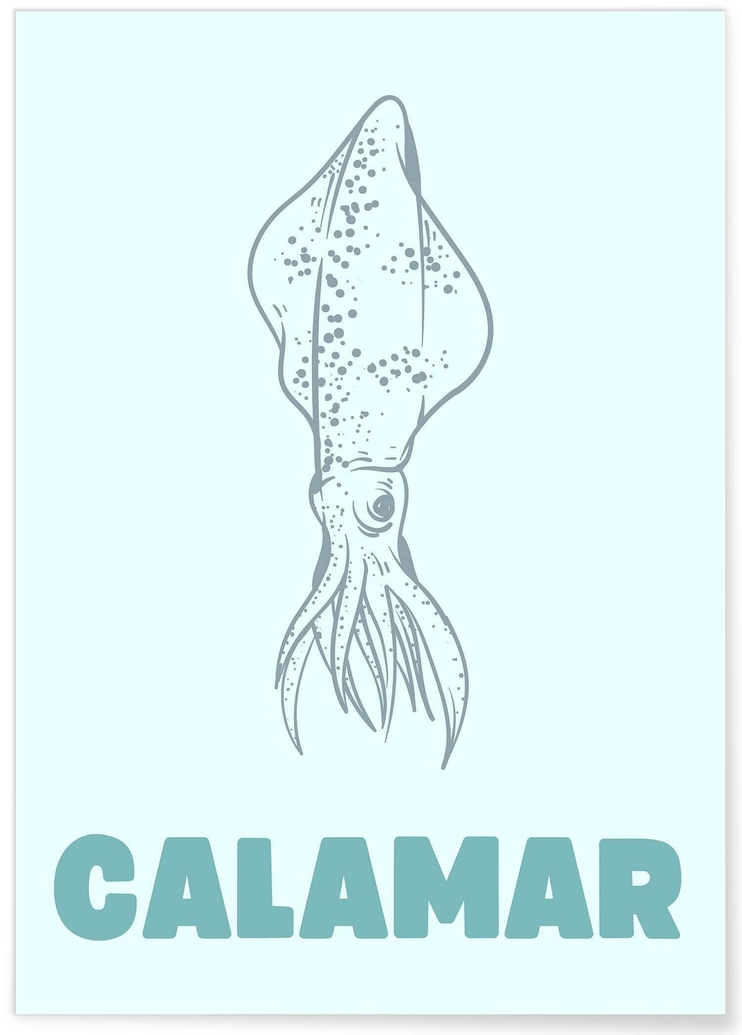 Calamar Póster