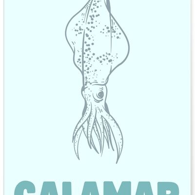 Affiche Calamar