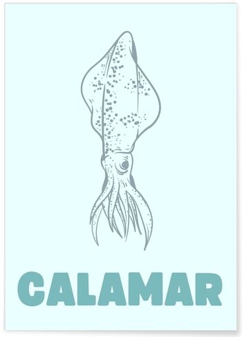 Affiche Calamar 1