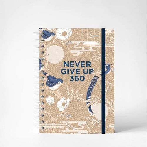 Never Give Up - Blue Bird