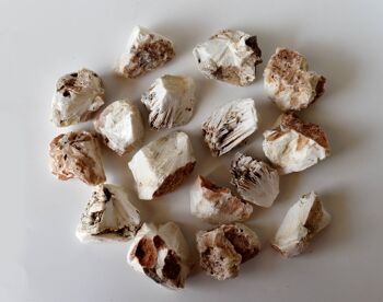 1Pc Scolecite Rough Stones ~ 1 inch Raw Crystals 10