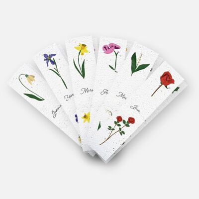 Bookmarks to plant – Birth flowers