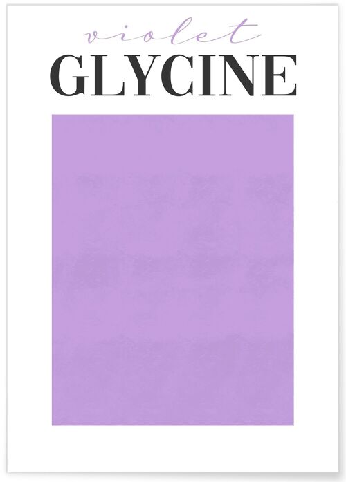 Affiche Violet Glycine