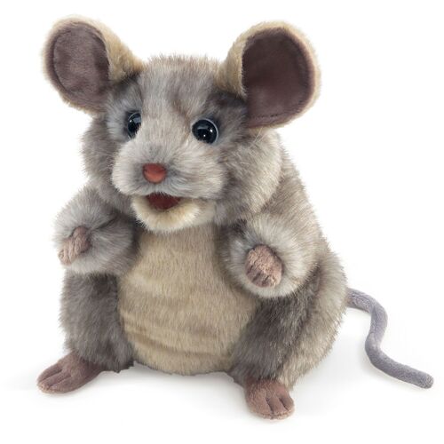 Graue Maus / Grey Mouse 3202
