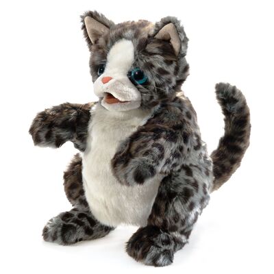 Wildkatzenbaby / Wildcat Kitten 3205