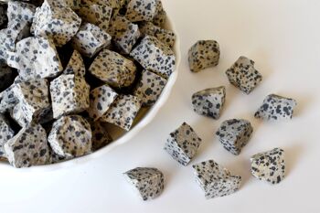 1Pc Dalmatian Jasper Rough Stone ~ 1 inch Raw Crystals 2
