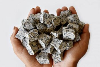 1Pc Dalmatian Jasper Rough Stone ~ 1 inch Raw Crystals 8