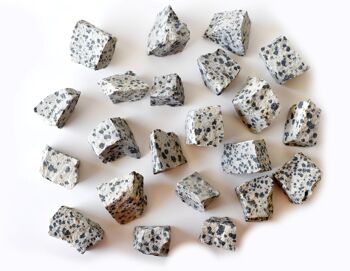1Pc Dalmatian Jasper Rough Stone ~ 1 inch Raw Crystals 9