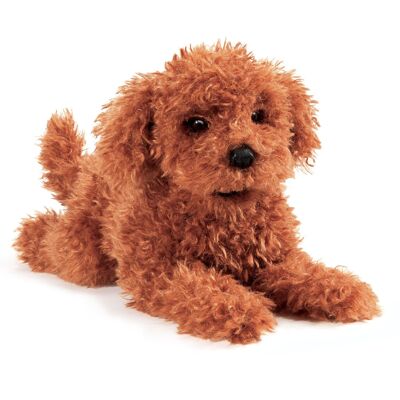 Poodle Puppy / Toy Poodle 3206