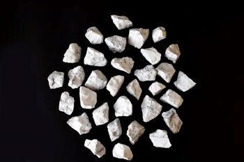 1Pc Howlite Rough Stone ~ 1 inch Raw Crystals 10