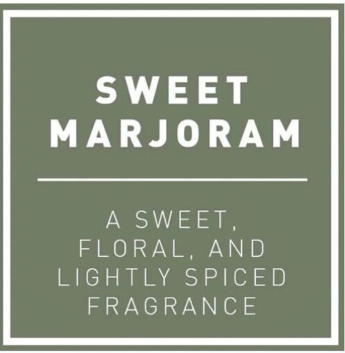 Sweet Marjoram Hydro Herb Kit.