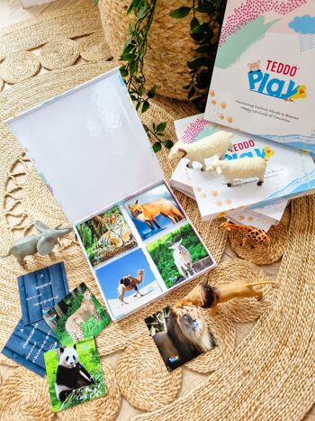 Teddo Play Birds of Prey, Animals & Insects (Letter-linking Spelling Edition) + Cadeaux 1