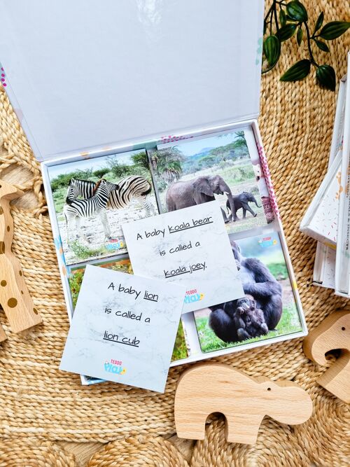 Teddo Play Animals & their Young Ones Educational Gift Set + Freebies